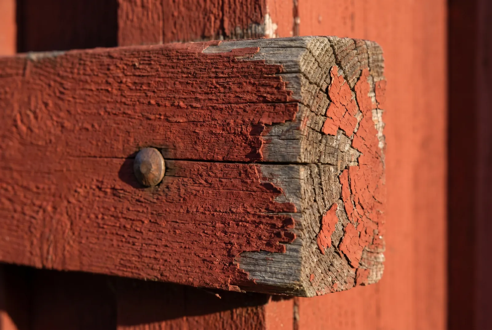 Närbild på en målad träpanel med spikhuvud och ändträ där färgen slitits tunn