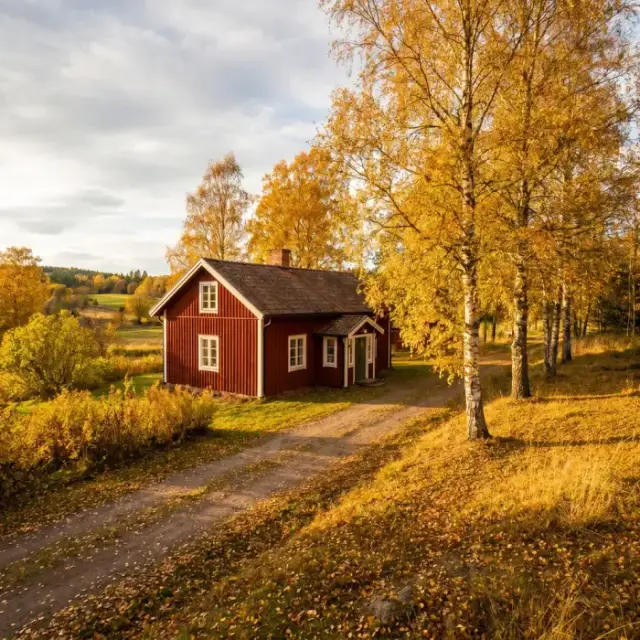 Nymålad faluröd träfasad på en stuga
