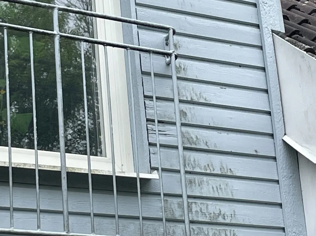 NLL Måleri projekt 40