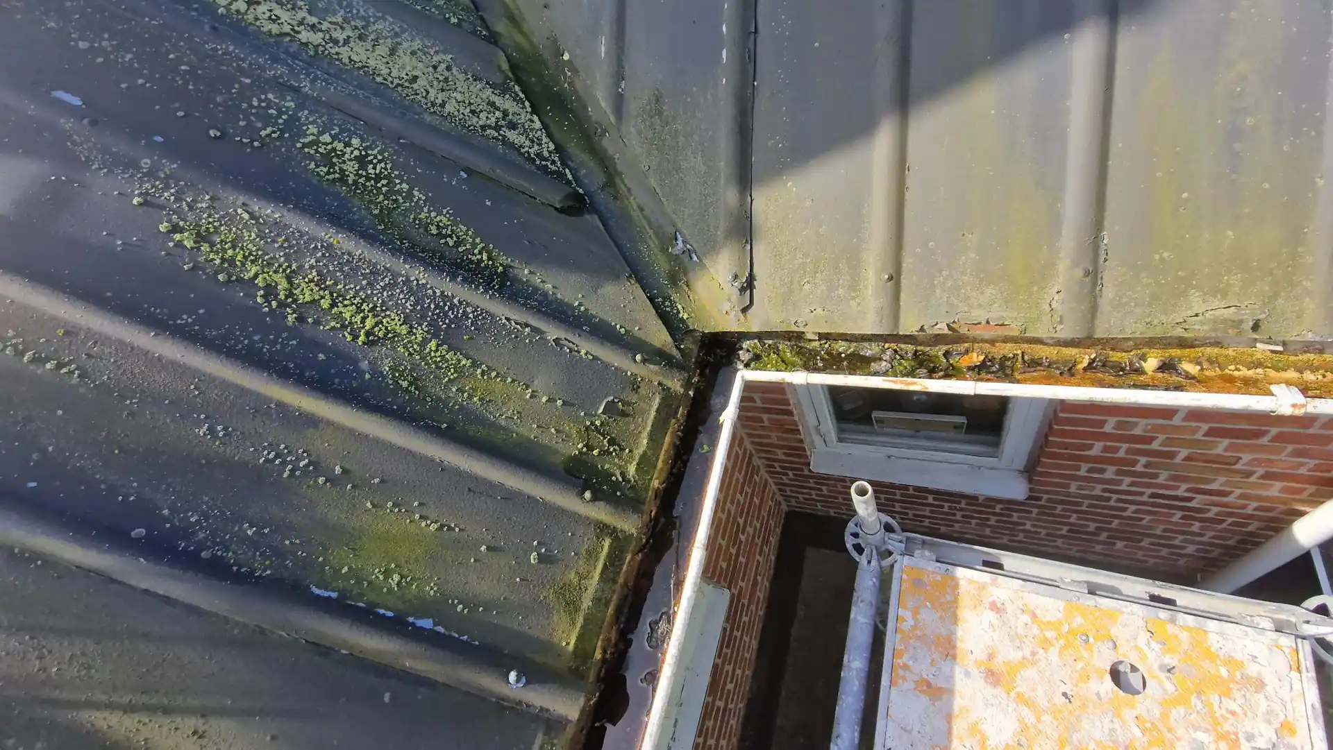 NLL Måleri projekt 53